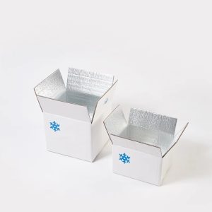 Caja Isotérmica con revestimiento interior de Foam Aluminizado
